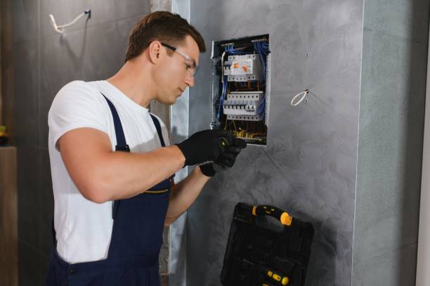Best Electric Panel Repair  in Ckam Housing, HI